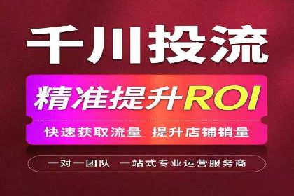 SEM代理操作技巧：成功案例揭秘